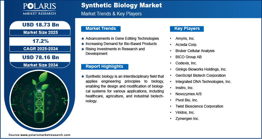 Synthetic Biology Market Share